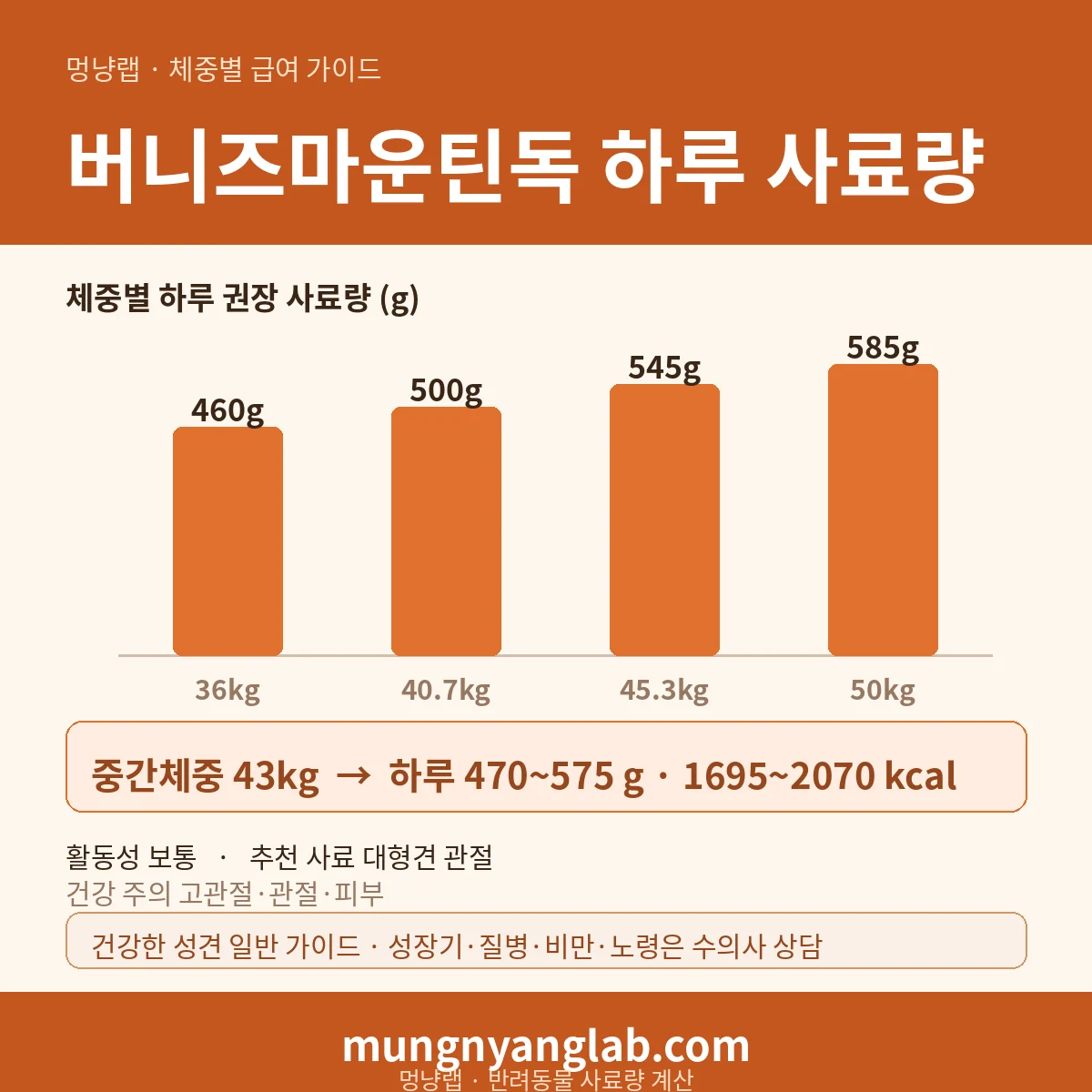버니즈마운틴독 체중별 하루 사료량 차트 — 표준 36~50kg 기준 하루 약 470~575g, 1695~2070kcal (건강한 성견 기준)