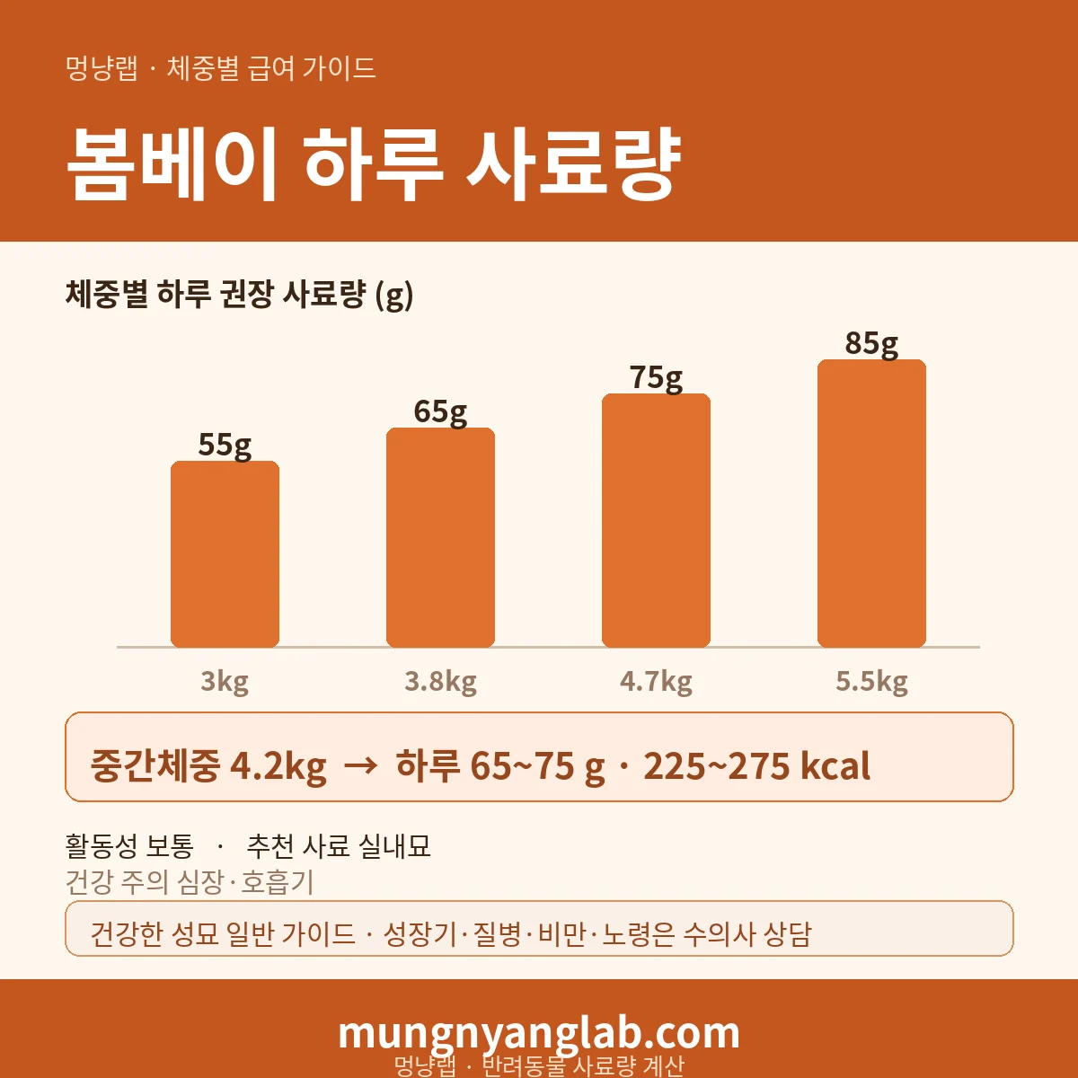 봄베이 체중별 하루 사료량 차트 — 표준 3~5.5kg 기준 하루 약 65~75g, 225~275kcal (건강한 성묘 기준)