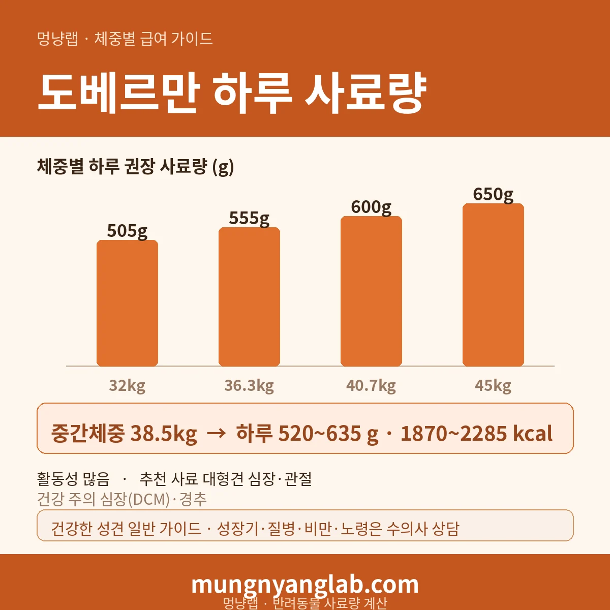 도베르만 체중별 하루 사료량 차트 — 표준 32~45kg 기준 하루 약 520~635g, 1870~2285kcal (건강한 성견 기준)
