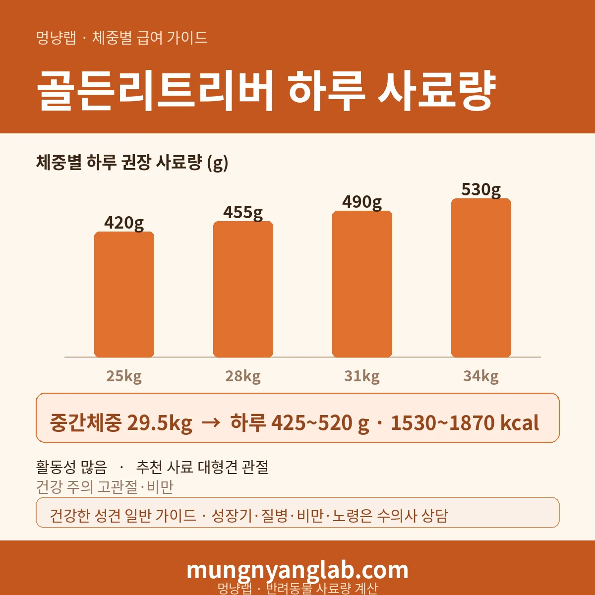 골든리트리버 체중별 하루 사료량 차트 — 표준 25~34kg 기준 하루 약 425~520g, 1530~1870kcal (건강한 성견 기준)