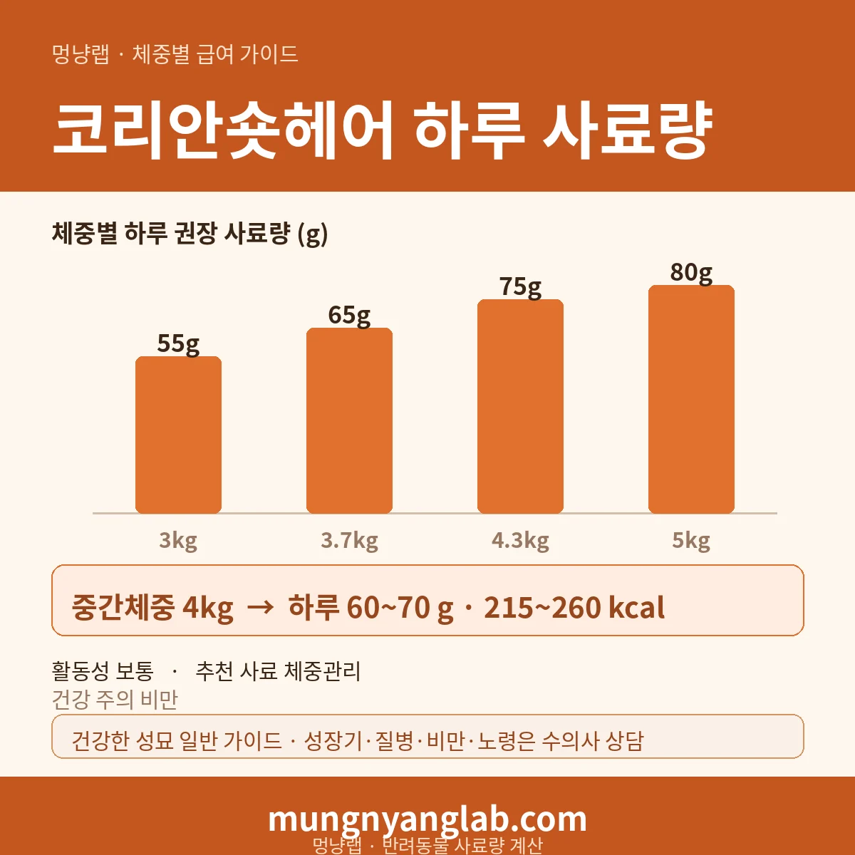 코리안숏헤어 체중별 하루 사료량 차트 — 표준 3~5kg 기준 하루 약 60~70g, 215~260kcal (건강한 성묘 기준)