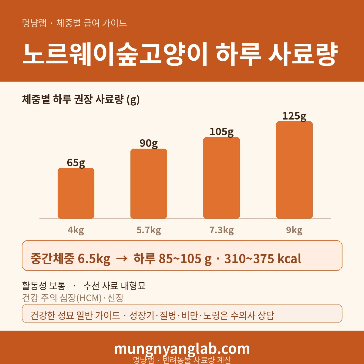 노르웨이숲고양이 체중별 하루 사료량 차트 — 표준 4~9kg 기준 하루 약 85~105g, 310~375kcal (건강한 성묘 기준)